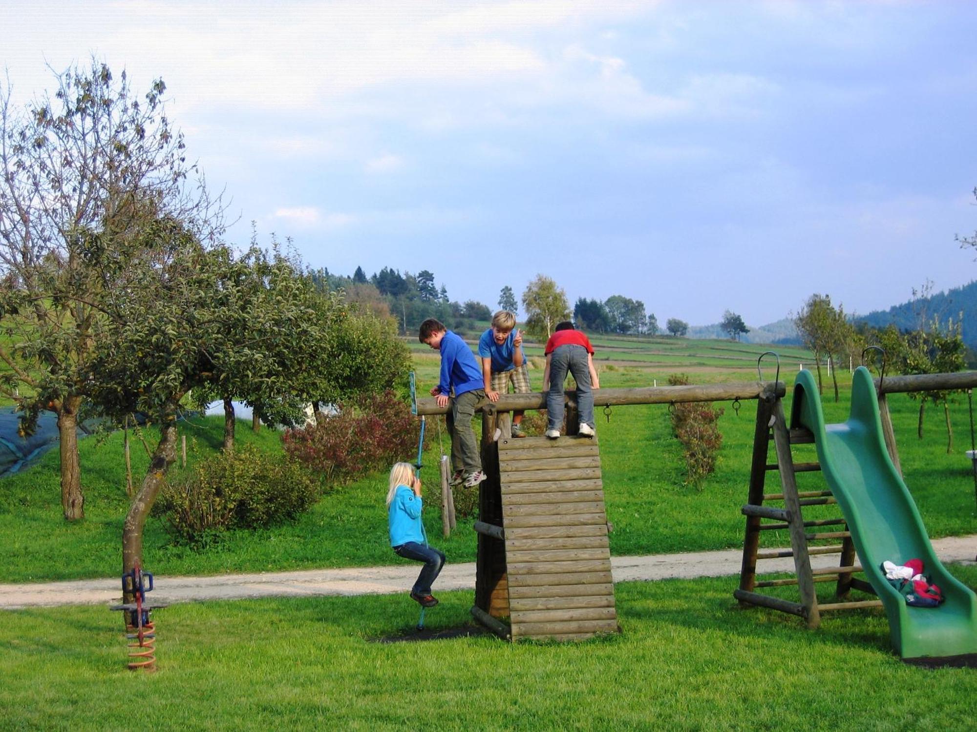 Ferienhof Stanzl Rappottenstein Zewnętrze zdjęcie