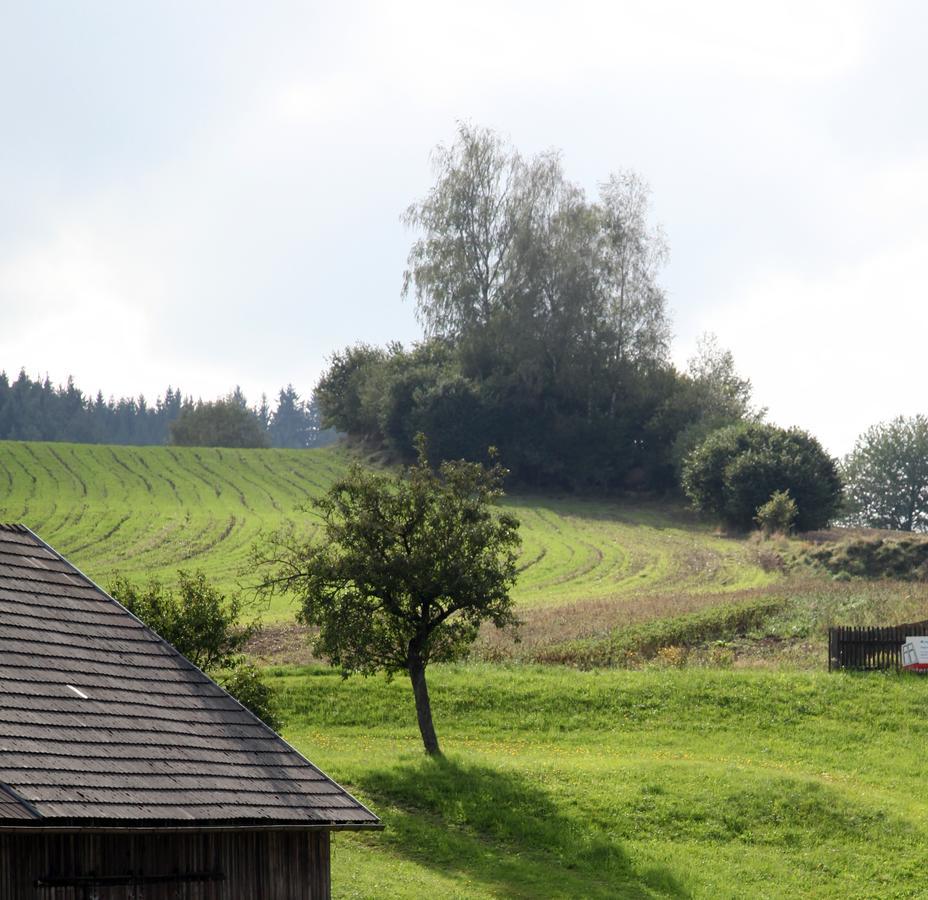 Ferienhof Stanzl Rappottenstein Zewnętrze zdjęcie