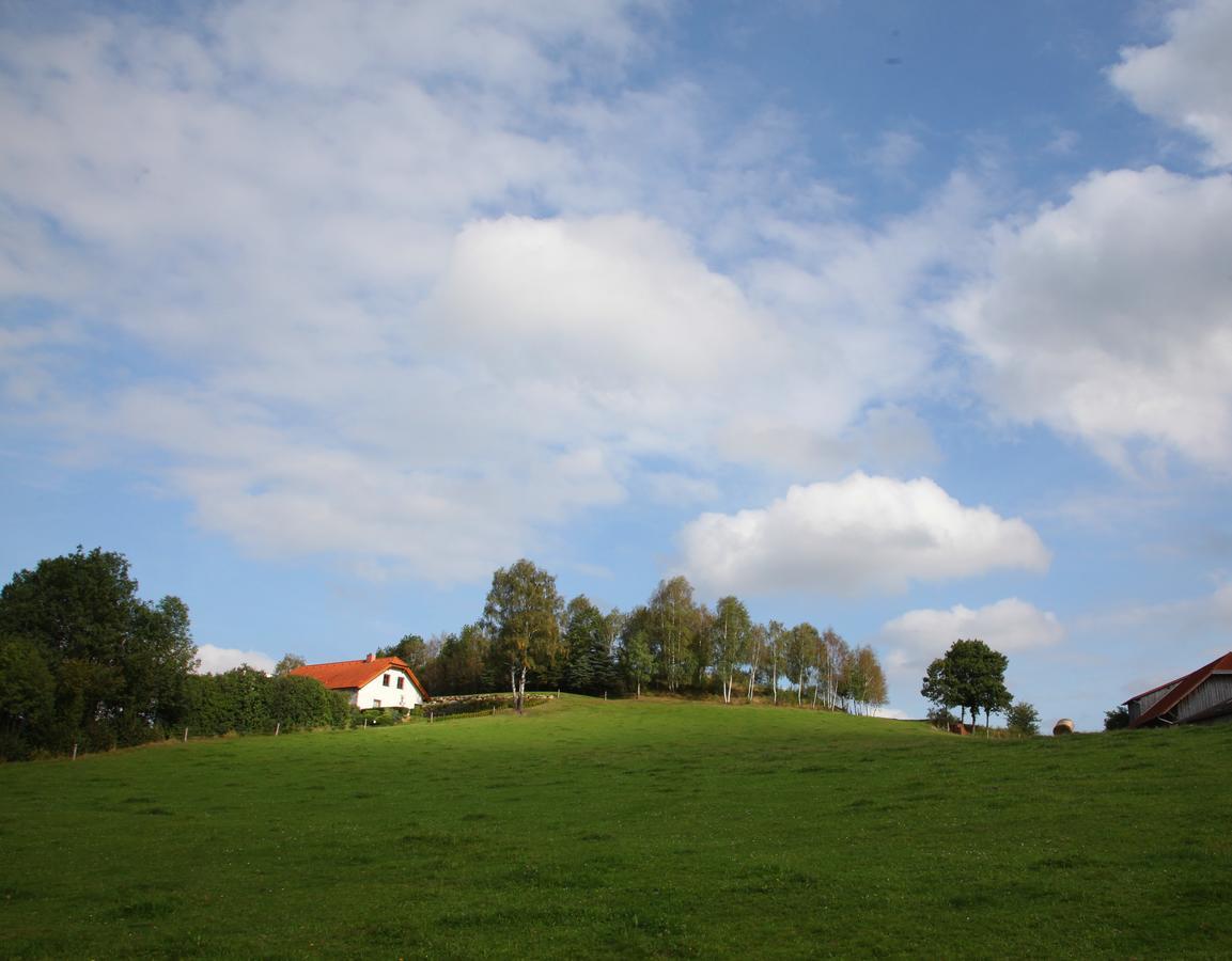 Ferienhof Stanzl Rappottenstein Zewnętrze zdjęcie