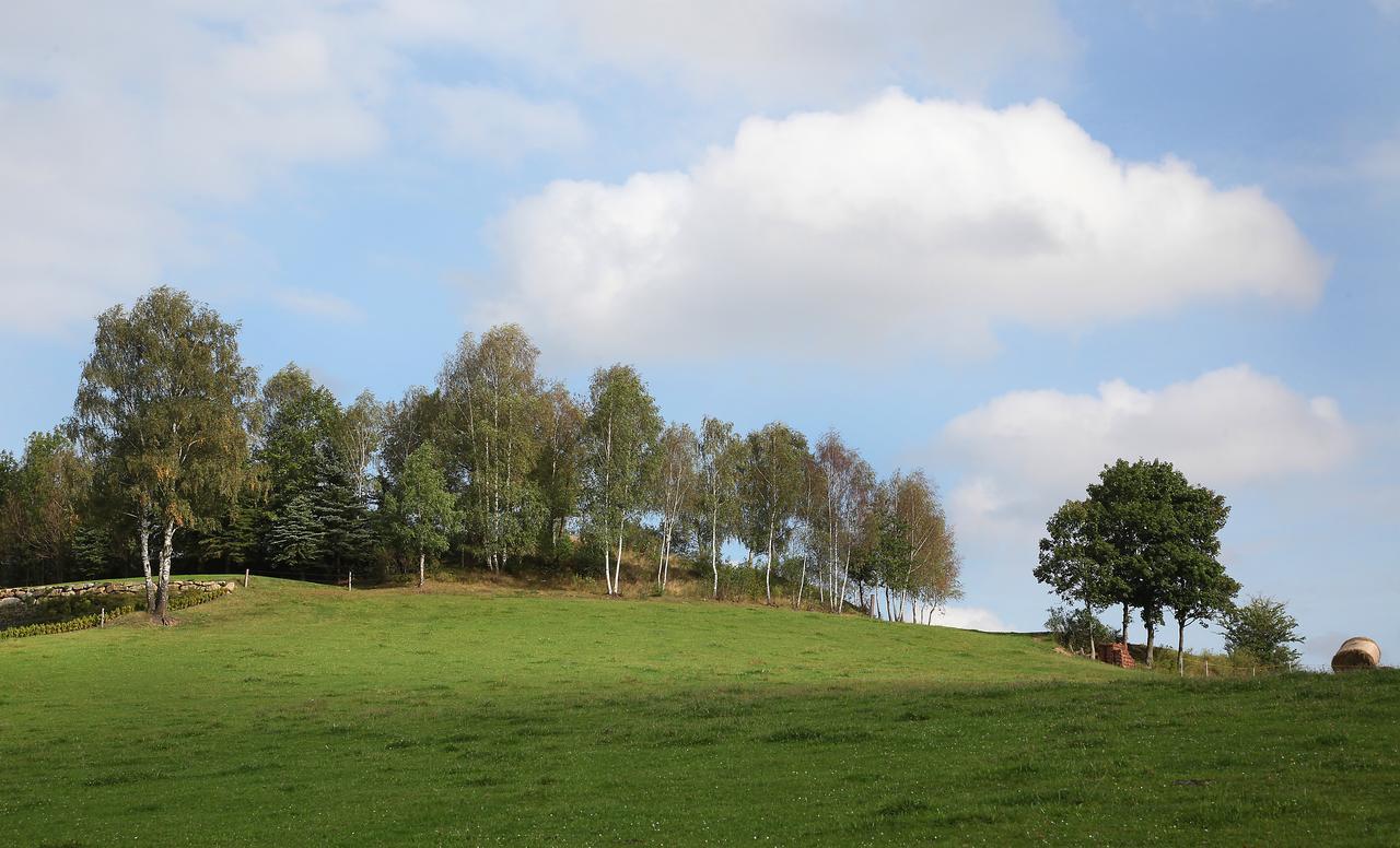 Ferienhof Stanzl Rappottenstein Zewnętrze zdjęcie